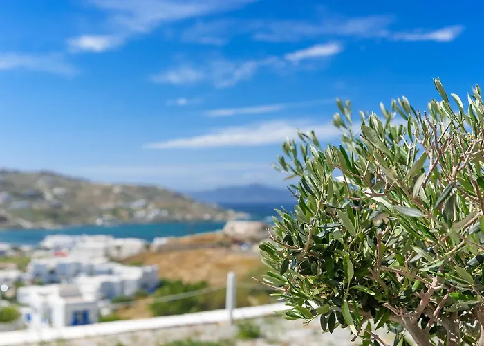 奥诺斯蓝色公寓 *